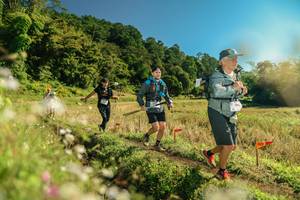 BIB: 
                            <button type="button" onclick="openModal(26686555)" class="btn btn-primary btn-sm float-right btn-popup" data-toggle="modal" data-target=".modal-high-quality">
                        <i class="fas fa-shopping-cart"></i> Add to Cart
                    </button>
                                            <button type="button" onclick="isThisMe(26686555, true)" class="btn btn-success btn-sm float-right btn-popup btn-isme hidden" data-toggle="tooltip" data-placement="bottom" title="นี่คือรูปของคุณใช่ไหม คลิกที่นี่เพื่อเอาเข้าอัลบั้ม">
                        <i class="fas fa-plus"></i> Add to album
                    </button>
                    <button type="button" onclick="isThisMe(26686555, false)" class="btn btn-warning btn-sm float-right btn-popup btn-isnotme hidden">
                        <i class="fas fa-ban"></i> Remove from album
                    </button>