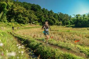 BIB: 
                            <button type="button" onclick="openModal(26696991)" class="btn btn-primary btn-sm float-right btn-popup" data-toggle="modal" data-target=".modal-high-quality">
                        <i class="fas fa-shopping-cart"></i> Add to Cart
                    </button>
                                            <button type="button" onclick="isThisMe(26696991, true)" class="btn btn-success btn-sm float-right btn-popup btn-isme hidden" data-toggle="tooltip" data-placement="bottom" title="นี่คือรูปของคุณใช่ไหม คลิกที่นี่เพื่อเอาเข้าอัลบั้ม">
                        <i class="fas fa-plus"></i> Add to album
                    </button>
                    <button type="button" onclick="isThisMe(26696991, false)" class="btn btn-warning btn-sm float-right btn-popup btn-isnotme hidden">
                        <i class="fas fa-ban"></i> Remove from album
                    </button>