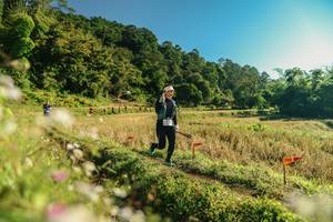 BIB: 
                            <button type="button" onclick="openModal(26637246)" class="btn btn-primary btn-sm float-right btn-popup" data-toggle="modal" data-target=".modal-high-quality">
                        <i class="fas fa-shopping-cart"></i> Add to Cart
                    </button>
                                            <button type="button" onclick="isThisMe(26637246, true)" class="btn btn-success btn-sm float-right btn-popup btn-isme hidden" data-toggle="tooltip" data-placement="bottom" title="นี่คือรูปของคุณใช่ไหม คลิกที่นี่เพื่อเอาเข้าอัลบั้ม">
                        <i class="fas fa-plus"></i> Add to album
                    </button>
                    <button type="button" onclick="isThisMe(26637246, false)" class="btn btn-warning btn-sm float-right btn-popup btn-isnotme hidden">
                        <i class="fas fa-ban"></i> Remove from album
                    </button>