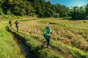 BIB: 
                            <button type="button" onclick="openModal(26692770)" class="btn btn-primary btn-sm float-right btn-popup" data-toggle="modal" data-target=".modal-high-quality">
                        <i class="fas fa-shopping-cart"></i> Add to Cart
                    </button>
                                            <button type="button" onclick="isThisMe(26692770, true)" class="btn btn-success btn-sm float-right btn-popup btn-isme hidden" data-toggle="tooltip" data-placement="bottom" title="นี่คือรูปของคุณใช่ไหม คลิกที่นี่เพื่อเอาเข้าอัลบั้ม">
                        <i class="fas fa-plus"></i> Add to album
                    </button>
                    <button type="button" onclick="isThisMe(26692770, false)" class="btn btn-warning btn-sm float-right btn-popup btn-isnotme hidden">
                        <i class="fas fa-ban"></i> Remove from album
                    </button>