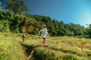 BIB: 
                            <button type="button" onclick="openModal(26693212)" class="btn btn-primary btn-sm float-right btn-popup" data-toggle="modal" data-target=".modal-high-quality">
                        <i class="fas fa-shopping-cart"></i> Add to Cart
                    </button>
                                            <button type="button" onclick="isThisMe(26693212, true)" class="btn btn-success btn-sm float-right btn-popup btn-isme hidden" data-toggle="tooltip" data-placement="bottom" title="นี่คือรูปของคุณใช่ไหม คลิกที่นี่เพื่อเอาเข้าอัลบั้ม">
                        <i class="fas fa-plus"></i> Add to album
                    </button>
                    <button type="button" onclick="isThisMe(26693212, false)" class="btn btn-warning btn-sm float-right btn-popup btn-isnotme hidden">
                        <i class="fas fa-ban"></i> Remove from album
                    </button>