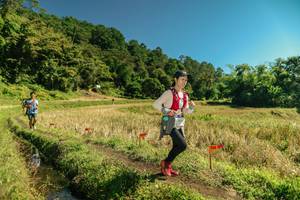 BIB: 
                            <button type="button" onclick="openModal(26715108)" class="btn btn-primary btn-sm float-right btn-popup" data-toggle="modal" data-target=".modal-high-quality">
                        <i class="fas fa-shopping-cart"></i> Add to Cart
                    </button>
                                            <button type="button" onclick="isThisMe(26715108, true)" class="btn btn-success btn-sm float-right btn-popup btn-isme hidden" data-toggle="tooltip" data-placement="bottom" title="นี่คือรูปของคุณใช่ไหม คลิกที่นี่เพื่อเอาเข้าอัลบั้ม">
                        <i class="fas fa-plus"></i> Add to album
                    </button>
                    <button type="button" onclick="isThisMe(26715108, false)" class="btn btn-warning btn-sm float-right btn-popup btn-isnotme hidden">
                        <i class="fas fa-ban"></i> Remove from album
                    </button>