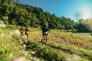 BIB: 
                            <button type="button" onclick="openModal(26637468)" class="btn btn-primary btn-sm float-right btn-popup" data-toggle="modal" data-target=".modal-high-quality">
                        <i class="fas fa-shopping-cart"></i> Add to Cart
                    </button>
                                            <button type="button" onclick="isThisMe(26637468, true)" class="btn btn-success btn-sm float-right btn-popup btn-isme hidden" data-toggle="tooltip" data-placement="bottom" title="นี่คือรูปของคุณใช่ไหม คลิกที่นี่เพื่อเอาเข้าอัลบั้ม">
                        <i class="fas fa-plus"></i> Add to album
                    </button>
                    <button type="button" onclick="isThisMe(26637468, false)" class="btn btn-warning btn-sm float-right btn-popup btn-isnotme hidden">
                        <i class="fas fa-ban"></i> Remove from album
                    </button>