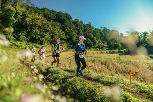 BIB: 
                            <button type="button" onclick="openModal(26637015)" class="btn btn-primary btn-sm float-right btn-popup" data-toggle="modal" data-target=".modal-high-quality">
                        <i class="fas fa-shopping-cart"></i> Add to Cart
                    </button>
                                            <button type="button" onclick="isThisMe(26637015, true)" class="btn btn-success btn-sm float-right btn-popup btn-isme hidden" data-toggle="tooltip" data-placement="bottom" title="นี่คือรูปของคุณใช่ไหม คลิกที่นี่เพื่อเอาเข้าอัลบั้ม">
                        <i class="fas fa-plus"></i> Add to album
                    </button>
                    <button type="button" onclick="isThisMe(26637015, false)" class="btn btn-warning btn-sm float-right btn-popup btn-isnotme hidden">
                        <i class="fas fa-ban"></i> Remove from album
                    </button>