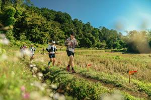 BIB: 
                            <button type="button" onclick="openModal(26688804)" class="btn btn-primary btn-sm float-right btn-popup" data-toggle="modal" data-target=".modal-high-quality">
                        <i class="fas fa-shopping-cart"></i> Add to Cart
                    </button>
                                            <button type="button" onclick="isThisMe(26688804, true)" class="btn btn-success btn-sm float-right btn-popup btn-isme hidden" data-toggle="tooltip" data-placement="bottom" title="นี่คือรูปของคุณใช่ไหม คลิกที่นี่เพื่อเอาเข้าอัลบั้ม">
                        <i class="fas fa-plus"></i> Add to album
                    </button>
                    <button type="button" onclick="isThisMe(26688804, false)" class="btn btn-warning btn-sm float-right btn-popup btn-isnotme hidden">
                        <i class="fas fa-ban"></i> Remove from album
                    </button>