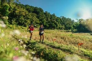 BIB: 
                            <button type="button" onclick="openModal(26637473)" class="btn btn-primary btn-sm float-right btn-popup" data-toggle="modal" data-target=".modal-high-quality">
                        <i class="fas fa-shopping-cart"></i> Add to Cart
                    </button>
                                            <button type="button" onclick="isThisMe(26637473, true)" class="btn btn-success btn-sm float-right btn-popup btn-isme hidden" data-toggle="tooltip" data-placement="bottom" title="นี่คือรูปของคุณใช่ไหม คลิกที่นี่เพื่อเอาเข้าอัลบั้ม">
                        <i class="fas fa-plus"></i> Add to album
                    </button>
                    <button type="button" onclick="isThisMe(26637473, false)" class="btn btn-warning btn-sm float-right btn-popup btn-isnotme hidden">
                        <i class="fas fa-ban"></i> Remove from album
                    </button>