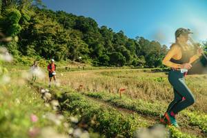 BIB: 
                            <button type="button" onclick="openModal(26674190)" class="btn btn-primary btn-sm float-right btn-popup" data-toggle="modal" data-target=".modal-high-quality">
                        <i class="fas fa-shopping-cart"></i> Add to Cart
                    </button>
                                            <button type="button" onclick="isThisMe(26674190, true)" class="btn btn-success btn-sm float-right btn-popup btn-isme hidden" data-toggle="tooltip" data-placement="bottom" title="นี่คือรูปของคุณใช่ไหม คลิกที่นี่เพื่อเอาเข้าอัลบั้ม">
                        <i class="fas fa-plus"></i> Add to album
                    </button>
                    <button type="button" onclick="isThisMe(26674190, false)" class="btn btn-warning btn-sm float-right btn-popup btn-isnotme hidden">
                        <i class="fas fa-ban"></i> Remove from album
                    </button>