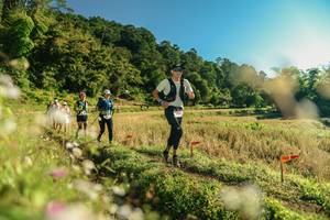 BIB: 
                            <button type="button" onclick="openModal(26637004)" class="btn btn-primary btn-sm float-right btn-popup" data-toggle="modal" data-target=".modal-high-quality">
                        <i class="fas fa-shopping-cart"></i> Add to Cart
                    </button>
                                            <button type="button" onclick="isThisMe(26637004, true)" class="btn btn-success btn-sm float-right btn-popup btn-isme hidden" data-toggle="tooltip" data-placement="bottom" title="นี่คือรูปของคุณใช่ไหม คลิกที่นี่เพื่อเอาเข้าอัลบั้ม">
                        <i class="fas fa-plus"></i> Add to album
                    </button>
                    <button type="button" onclick="isThisMe(26637004, false)" class="btn btn-warning btn-sm float-right btn-popup btn-isnotme hidden">
                        <i class="fas fa-ban"></i> Remove from album
                    </button>