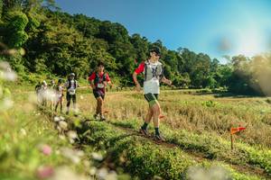 BIB: 
                            <button type="button" onclick="openModal(26638393)" class="btn btn-primary btn-sm float-right btn-popup" data-toggle="modal" data-target=".modal-high-quality">
                        <i class="fas fa-shopping-cart"></i> Add to Cart
                    </button>
                                            <button type="button" onclick="isThisMe(26638393, true)" class="btn btn-success btn-sm float-right btn-popup btn-isme hidden" data-toggle="tooltip" data-placement="bottom" title="นี่คือรูปของคุณใช่ไหม คลิกที่นี่เพื่อเอาเข้าอัลบั้ม">
                        <i class="fas fa-plus"></i> Add to album
                    </button>
                    <button type="button" onclick="isThisMe(26638393, false)" class="btn btn-warning btn-sm float-right btn-popup btn-isnotme hidden">
                        <i class="fas fa-ban"></i> Remove from album
                    </button>