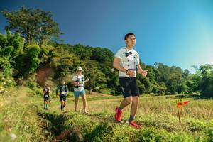 BIB: 
                            <button type="button" onclick="openModal(26694071)" class="btn btn-primary btn-sm float-right btn-popup" data-toggle="modal" data-target=".modal-high-quality">
                        <i class="fas fa-shopping-cart"></i> Add to Cart
                    </button>
                                            <button type="button" onclick="isThisMe(26694071, true)" class="btn btn-success btn-sm float-right btn-popup btn-isme hidden" data-toggle="tooltip" data-placement="bottom" title="นี่คือรูปของคุณใช่ไหม คลิกที่นี่เพื่อเอาเข้าอัลบั้ม">
                        <i class="fas fa-plus"></i> Add to album
                    </button>
                    <button type="button" onclick="isThisMe(26694071, false)" class="btn btn-warning btn-sm float-right btn-popup btn-isnotme hidden">
                        <i class="fas fa-ban"></i> Remove from album
                    </button>