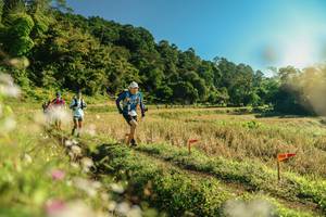 BIB: 
                            <button type="button" onclick="openModal(26637682)" class="btn btn-primary btn-sm float-right btn-popup" data-toggle="modal" data-target=".modal-high-quality">
                        <i class="fas fa-shopping-cart"></i> Add to Cart
                    </button>
                                            <button type="button" onclick="isThisMe(26637682, true)" class="btn btn-success btn-sm float-right btn-popup btn-isme hidden" data-toggle="tooltip" data-placement="bottom" title="นี่คือรูปของคุณใช่ไหม คลิกที่นี่เพื่อเอาเข้าอัลบั้ม">
                        <i class="fas fa-plus"></i> Add to album
                    </button>
                    <button type="button" onclick="isThisMe(26637682, false)" class="btn btn-warning btn-sm float-right btn-popup btn-isnotme hidden">
                        <i class="fas fa-ban"></i> Remove from album
                    </button>