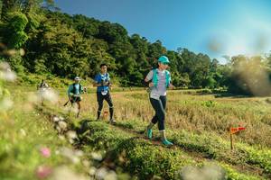 BIB: 
                            <button type="button" onclick="openModal(26638878)" class="btn btn-primary btn-sm float-right btn-popup" data-toggle="modal" data-target=".modal-high-quality">
                        <i class="fas fa-shopping-cart"></i> Add to Cart
                    </button>
                                            <button type="button" onclick="isThisMe(26638878, true)" class="btn btn-success btn-sm float-right btn-popup btn-isme hidden" data-toggle="tooltip" data-placement="bottom" title="นี่คือรูปของคุณใช่ไหม คลิกที่นี่เพื่อเอาเข้าอัลบั้ม">
                        <i class="fas fa-plus"></i> Add to album
                    </button>
                    <button type="button" onclick="isThisMe(26638878, false)" class="btn btn-warning btn-sm float-right btn-popup btn-isnotme hidden">
                        <i class="fas fa-ban"></i> Remove from album
                    </button>