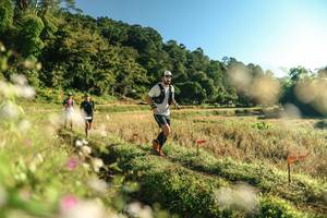 BIB: 
                            <button type="button" onclick="openModal(26635312)" class="btn btn-primary btn-sm float-right btn-popup" data-toggle="modal" data-target=".modal-high-quality">
                        <i class="fas fa-shopping-cart"></i> Add to Cart
                    </button>
                                            <button type="button" onclick="isThisMe(26635312, true)" class="btn btn-success btn-sm float-right btn-popup btn-isme hidden" data-toggle="tooltip" data-placement="bottom" title="นี่คือรูปของคุณใช่ไหม คลิกที่นี่เพื่อเอาเข้าอัลบั้ม">
                        <i class="fas fa-plus"></i> Add to album
                    </button>
                    <button type="button" onclick="isThisMe(26635312, false)" class="btn btn-warning btn-sm float-right btn-popup btn-isnotme hidden">
                        <i class="fas fa-ban"></i> Remove from album
                    </button>