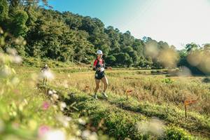 BIB: 
                            <button type="button" onclick="openModal(26635580)" class="btn btn-primary btn-sm float-right btn-popup" data-toggle="modal" data-target=".modal-high-quality">
                        <i class="fas fa-shopping-cart"></i> Add to Cart
                    </button>
                                            <button type="button" onclick="isThisMe(26635580, true)" class="btn btn-success btn-sm float-right btn-popup btn-isme hidden" data-toggle="tooltip" data-placement="bottom" title="นี่คือรูปของคุณใช่ไหม คลิกที่นี่เพื่อเอาเข้าอัลบั้ม">
                        <i class="fas fa-plus"></i> Add to album
                    </button>
                    <button type="button" onclick="isThisMe(26635580, false)" class="btn btn-warning btn-sm float-right btn-popup btn-isnotme hidden">
                        <i class="fas fa-ban"></i> Remove from album
                    </button>