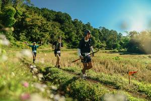 BIB: 
                            <button type="button" onclick="openModal(26638564)" class="btn btn-primary btn-sm float-right btn-popup" data-toggle="modal" data-target=".modal-high-quality">
                        <i class="fas fa-shopping-cart"></i> Add to Cart
                    </button>
                                            <button type="button" onclick="isThisMe(26638564, true)" class="btn btn-success btn-sm float-right btn-popup btn-isme hidden" data-toggle="tooltip" data-placement="bottom" title="นี่คือรูปของคุณใช่ไหม คลิกที่นี่เพื่อเอาเข้าอัลบั้ม">
                        <i class="fas fa-plus"></i> Add to album
                    </button>
                    <button type="button" onclick="isThisMe(26638564, false)" class="btn btn-warning btn-sm float-right btn-popup btn-isnotme hidden">
                        <i class="fas fa-ban"></i> Remove from album
                    </button>