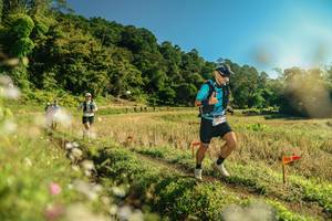 BIB: 
                            <button type="button" onclick="openModal(26672072)" class="btn btn-primary btn-sm float-right btn-popup" data-toggle="modal" data-target=".modal-high-quality">
                        <i class="fas fa-shopping-cart"></i> Add to Cart
                    </button>
                                            <button type="button" onclick="isThisMe(26672072, true)" class="btn btn-success btn-sm float-right btn-popup btn-isme hidden" data-toggle="tooltip" data-placement="bottom" title="นี่คือรูปของคุณใช่ไหม คลิกที่นี่เพื่อเอาเข้าอัลบั้ม">
                        <i class="fas fa-plus"></i> Add to album
                    </button>
                    <button type="button" onclick="isThisMe(26672072, false)" class="btn btn-warning btn-sm float-right btn-popup btn-isnotme hidden">
                        <i class="fas fa-ban"></i> Remove from album
                    </button>