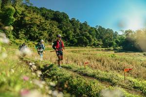 BIB: 
                            <button type="button" onclick="openModal(26637742)" class="btn btn-primary btn-sm float-right btn-popup" data-toggle="modal" data-target=".modal-high-quality">
                        <i class="fas fa-shopping-cart"></i> Add to Cart
                    </button>
                                            <button type="button" onclick="isThisMe(26637742, true)" class="btn btn-success btn-sm float-right btn-popup btn-isme hidden" data-toggle="tooltip" data-placement="bottom" title="นี่คือรูปของคุณใช่ไหม คลิกที่นี่เพื่อเอาเข้าอัลบั้ม">
                        <i class="fas fa-plus"></i> Add to album
                    </button>
                    <button type="button" onclick="isThisMe(26637742, false)" class="btn btn-warning btn-sm float-right btn-popup btn-isnotme hidden">
                        <i class="fas fa-ban"></i> Remove from album
                    </button>