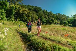 BIB: 
                            <button type="button" onclick="openModal(26694565)" class="btn btn-primary btn-sm float-right btn-popup" data-toggle="modal" data-target=".modal-high-quality">
                        <i class="fas fa-shopping-cart"></i> Add to Cart
                    </button>
                                            <button type="button" onclick="isThisMe(26694565, true)" class="btn btn-success btn-sm float-right btn-popup btn-isme hidden" data-toggle="tooltip" data-placement="bottom" title="นี่คือรูปของคุณใช่ไหม คลิกที่นี่เพื่อเอาเข้าอัลบั้ม">
                        <i class="fas fa-plus"></i> Add to album
                    </button>
                    <button type="button" onclick="isThisMe(26694565, false)" class="btn btn-warning btn-sm float-right btn-popup btn-isnotme hidden">
                        <i class="fas fa-ban"></i> Remove from album
                    </button>