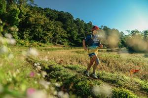 BIB: 
                            <button type="button" onclick="openModal(26636116)" class="btn btn-primary btn-sm float-right btn-popup" data-toggle="modal" data-target=".modal-high-quality">
                        <i class="fas fa-shopping-cart"></i> Add to Cart
                    </button>
                                            <button type="button" onclick="isThisMe(26636116, true)" class="btn btn-success btn-sm float-right btn-popup btn-isme hidden" data-toggle="tooltip" data-placement="bottom" title="นี่คือรูปของคุณใช่ไหม คลิกที่นี่เพื่อเอาเข้าอัลบั้ม">
                        <i class="fas fa-plus"></i> Add to album
                    </button>
                    <button type="button" onclick="isThisMe(26636116, false)" class="btn btn-warning btn-sm float-right btn-popup btn-isnotme hidden">
                        <i class="fas fa-ban"></i> Remove from album
                    </button>