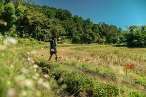 BIB: 
                            <button type="button" onclick="openModal(26728835)" class="btn btn-primary btn-sm float-right btn-popup" data-toggle="modal" data-target=".modal-high-quality">
                        <i class="fas fa-shopping-cart"></i> Add to Cart
                    </button>
                                            <button type="button" onclick="isThisMe(26728835, true)" class="btn btn-success btn-sm float-right btn-popup btn-isme hidden" data-toggle="tooltip" data-placement="bottom" title="นี่คือรูปของคุณใช่ไหม คลิกที่นี่เพื่อเอาเข้าอัลบั้ม">
                        <i class="fas fa-plus"></i> Add to album
                    </button>
                    <button type="button" onclick="isThisMe(26728835, false)" class="btn btn-warning btn-sm float-right btn-popup btn-isnotme hidden">
                        <i class="fas fa-ban"></i> Remove from album
                    </button>