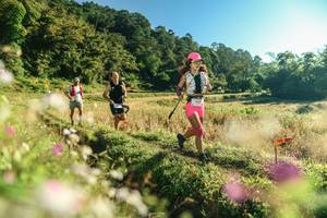 BIB: 
                            <button type="button" onclick="openModal(26633958)" class="btn btn-primary btn-sm float-right btn-popup" data-toggle="modal" data-target=".modal-high-quality">
                        <i class="fas fa-shopping-cart"></i> Add to Cart
                    </button>
                                            <button type="button" onclick="isThisMe(26633958, true)" class="btn btn-success btn-sm float-right btn-popup btn-isme hidden" data-toggle="tooltip" data-placement="bottom" title="นี่คือรูปของคุณใช่ไหม คลิกที่นี่เพื่อเอาเข้าอัลบั้ม">
                        <i class="fas fa-plus"></i> Add to album
                    </button>
                    <button type="button" onclick="isThisMe(26633958, false)" class="btn btn-warning btn-sm float-right btn-popup btn-isnotme hidden">
                        <i class="fas fa-ban"></i> Remove from album
                    </button>