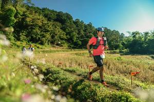 BIB: 
                            <button type="button" onclick="openModal(26637399)" class="btn btn-primary btn-sm float-right btn-popup" data-toggle="modal" data-target=".modal-high-quality">
                        <i class="fas fa-shopping-cart"></i> Add to Cart
                    </button>
                                            <button type="button" onclick="isThisMe(26637399, true)" class="btn btn-success btn-sm float-right btn-popup btn-isme hidden" data-toggle="tooltip" data-placement="bottom" title="นี่คือรูปของคุณใช่ไหม คลิกที่นี่เพื่อเอาเข้าอัลบั้ม">
                        <i class="fas fa-plus"></i> Add to album
                    </button>
                    <button type="button" onclick="isThisMe(26637399, false)" class="btn btn-warning btn-sm float-right btn-popup btn-isnotme hidden">
                        <i class="fas fa-ban"></i> Remove from album
                    </button>