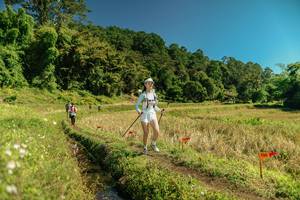 BIB: 
                            <button type="button" onclick="openModal(26714777)" class="btn btn-primary btn-sm float-right btn-popup" data-toggle="modal" data-target=".modal-high-quality">
                        <i class="fas fa-shopping-cart"></i> Add to Cart
                    </button>
                                            <button type="button" onclick="isThisMe(26714777, true)" class="btn btn-success btn-sm float-right btn-popup btn-isme hidden" data-toggle="tooltip" data-placement="bottom" title="นี่คือรูปของคุณใช่ไหม คลิกที่นี่เพื่อเอาเข้าอัลบั้ม">
                        <i class="fas fa-plus"></i> Add to album
                    </button>
                    <button type="button" onclick="isThisMe(26714777, false)" class="btn btn-warning btn-sm float-right btn-popup btn-isnotme hidden">
                        <i class="fas fa-ban"></i> Remove from album
                    </button>