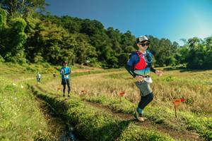 BIB: 
                            <button type="button" onclick="openModal(26694294)" class="btn btn-primary btn-sm float-right btn-popup" data-toggle="modal" data-target=".modal-high-quality">
                        <i class="fas fa-shopping-cart"></i> Add to Cart
                    </button>
                                            <button type="button" onclick="isThisMe(26694294, true)" class="btn btn-success btn-sm float-right btn-popup btn-isme hidden" data-toggle="tooltip" data-placement="bottom" title="นี่คือรูปของคุณใช่ไหม คลิกที่นี่เพื่อเอาเข้าอัลบั้ม">
                        <i class="fas fa-plus"></i> Add to album
                    </button>
                    <button type="button" onclick="isThisMe(26694294, false)" class="btn btn-warning btn-sm float-right btn-popup btn-isnotme hidden">
                        <i class="fas fa-ban"></i> Remove from album
                    </button>