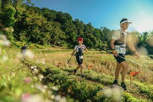 BIB: 
                            <button type="button" onclick="openModal(26636944)" class="btn btn-primary btn-sm float-right btn-popup" data-toggle="modal" data-target=".modal-high-quality">
                        <i class="fas fa-shopping-cart"></i> Add to Cart
                    </button>
                                            <button type="button" onclick="isThisMe(26636944, true)" class="btn btn-success btn-sm float-right btn-popup btn-isme hidden" data-toggle="tooltip" data-placement="bottom" title="นี่คือรูปของคุณใช่ไหม คลิกที่นี่เพื่อเอาเข้าอัลบั้ม">
                        <i class="fas fa-plus"></i> Add to album
                    </button>
                    <button type="button" onclick="isThisMe(26636944, false)" class="btn btn-warning btn-sm float-right btn-popup btn-isnotme hidden">
                        <i class="fas fa-ban"></i> Remove from album
                    </button>