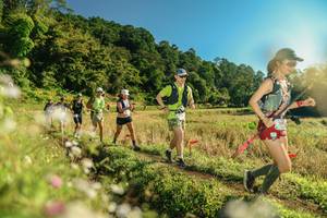 BIB: 
                            <button type="button" onclick="openModal(26638415)" class="btn btn-primary btn-sm float-right btn-popup" data-toggle="modal" data-target=".modal-high-quality">
                        <i class="fas fa-shopping-cart"></i> Add to Cart
                    </button>
                                            <button type="button" onclick="isThisMe(26638415, true)" class="btn btn-success btn-sm float-right btn-popup btn-isme hidden" data-toggle="tooltip" data-placement="bottom" title="นี่คือรูปของคุณใช่ไหม คลิกที่นี่เพื่อเอาเข้าอัลบั้ม">
                        <i class="fas fa-plus"></i> Add to album
                    </button>
                    <button type="button" onclick="isThisMe(26638415, false)" class="btn btn-warning btn-sm float-right btn-popup btn-isnotme hidden">
                        <i class="fas fa-ban"></i> Remove from album
                    </button>