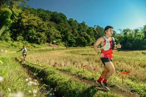 BIB: 
                            <button type="button" onclick="openModal(26697106)" class="btn btn-primary btn-sm float-right btn-popup" data-toggle="modal" data-target=".modal-high-quality">
                        <i class="fas fa-shopping-cart"></i> Add to Cart
                    </button>
                                            <button type="button" onclick="isThisMe(26697106, true)" class="btn btn-success btn-sm float-right btn-popup btn-isme hidden" data-toggle="tooltip" data-placement="bottom" title="นี่คือรูปของคุณใช่ไหม คลิกที่นี่เพื่อเอาเข้าอัลบั้ม">
                        <i class="fas fa-plus"></i> Add to album
                    </button>
                    <button type="button" onclick="isThisMe(26697106, false)" class="btn btn-warning btn-sm float-right btn-popup btn-isnotme hidden">
                        <i class="fas fa-ban"></i> Remove from album
                    </button>