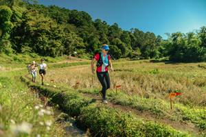 BIB: 
                            <button type="button" onclick="openModal(26702513)" class="btn btn-primary btn-sm float-right btn-popup" data-toggle="modal" data-target=".modal-high-quality">
                        <i class="fas fa-shopping-cart"></i> Add to Cart
                    </button>
                                            <button type="button" onclick="isThisMe(26702513, true)" class="btn btn-success btn-sm float-right btn-popup btn-isme hidden" data-toggle="tooltip" data-placement="bottom" title="นี่คือรูปของคุณใช่ไหม คลิกที่นี่เพื่อเอาเข้าอัลบั้ม">
                        <i class="fas fa-plus"></i> Add to album
                    </button>
                    <button type="button" onclick="isThisMe(26702513, false)" class="btn btn-warning btn-sm float-right btn-popup btn-isnotme hidden">
                        <i class="fas fa-ban"></i> Remove from album
                    </button>