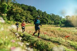 BIB: 
                            <button type="button" onclick="openModal(26637806)" class="btn btn-primary btn-sm float-right btn-popup" data-toggle="modal" data-target=".modal-high-quality">
                        <i class="fas fa-shopping-cart"></i> Add to Cart
                    </button>
                                            <button type="button" onclick="isThisMe(26637806, true)" class="btn btn-success btn-sm float-right btn-popup btn-isme hidden" data-toggle="tooltip" data-placement="bottom" title="นี่คือรูปของคุณใช่ไหม คลิกที่นี่เพื่อเอาเข้าอัลบั้ม">
                        <i class="fas fa-plus"></i> Add to album
                    </button>
                    <button type="button" onclick="isThisMe(26637806, false)" class="btn btn-warning btn-sm float-right btn-popup btn-isnotme hidden">
                        <i class="fas fa-ban"></i> Remove from album
                    </button>