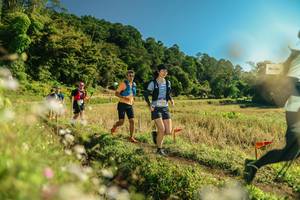 BIB: 
                            <button type="button" onclick="openModal(26678631)" class="btn btn-primary btn-sm float-right btn-popup" data-toggle="modal" data-target=".modal-high-quality">
                        <i class="fas fa-shopping-cart"></i> Add to Cart
                    </button>
                                            <button type="button" onclick="isThisMe(26678631, true)" class="btn btn-success btn-sm float-right btn-popup btn-isme hidden" data-toggle="tooltip" data-placement="bottom" title="นี่คือรูปของคุณใช่ไหม คลิกที่นี่เพื่อเอาเข้าอัลบั้ม">
                        <i class="fas fa-plus"></i> Add to album
                    </button>
                    <button type="button" onclick="isThisMe(26678631, false)" class="btn btn-warning btn-sm float-right btn-popup btn-isnotme hidden">
                        <i class="fas fa-ban"></i> Remove from album
                    </button>