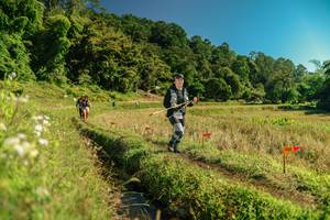 BIB: 
                            <button type="button" onclick="openModal(26694552)" class="btn btn-primary btn-sm float-right btn-popup" data-toggle="modal" data-target=".modal-high-quality">
                        <i class="fas fa-shopping-cart"></i> Add to Cart
                    </button>
                                            <button type="button" onclick="isThisMe(26694552, true)" class="btn btn-success btn-sm float-right btn-popup btn-isme hidden" data-toggle="tooltip" data-placement="bottom" title="นี่คือรูปของคุณใช่ไหม คลิกที่นี่เพื่อเอาเข้าอัลบั้ม">
                        <i class="fas fa-plus"></i> Add to album
                    </button>
                    <button type="button" onclick="isThisMe(26694552, false)" class="btn btn-warning btn-sm float-right btn-popup btn-isnotme hidden">
                        <i class="fas fa-ban"></i> Remove from album
                    </button>