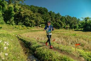 BIB: 
                            <button type="button" onclick="openModal(26713595)" class="btn btn-primary btn-sm float-right btn-popup" data-toggle="modal" data-target=".modal-high-quality">
                        <i class="fas fa-shopping-cart"></i> Add to Cart
                    </button>
                                            <button type="button" onclick="isThisMe(26713595, true)" class="btn btn-success btn-sm float-right btn-popup btn-isme hidden" data-toggle="tooltip" data-placement="bottom" title="นี่คือรูปของคุณใช่ไหม คลิกที่นี่เพื่อเอาเข้าอัลบั้ม">
                        <i class="fas fa-plus"></i> Add to album
                    </button>
                    <button type="button" onclick="isThisMe(26713595, false)" class="btn btn-warning btn-sm float-right btn-popup btn-isnotme hidden">
                        <i class="fas fa-ban"></i> Remove from album
                    </button>