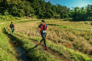 BIB: 
                            <button type="button" onclick="openModal(26692780)" class="btn btn-primary btn-sm float-right btn-popup" data-toggle="modal" data-target=".modal-high-quality">
                        <i class="fas fa-shopping-cart"></i> Add to Cart
                    </button>
                                            <button type="button" onclick="isThisMe(26692780, true)" class="btn btn-success btn-sm float-right btn-popup btn-isme hidden" data-toggle="tooltip" data-placement="bottom" title="นี่คือรูปของคุณใช่ไหม คลิกที่นี่เพื่อเอาเข้าอัลบั้ม">
                        <i class="fas fa-plus"></i> Add to album
                    </button>
                    <button type="button" onclick="isThisMe(26692780, false)" class="btn btn-warning btn-sm float-right btn-popup btn-isnotme hidden">
                        <i class="fas fa-ban"></i> Remove from album
                    </button>