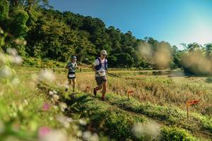 BIB: 
                            <button type="button" onclick="openModal(26635950)" class="btn btn-primary btn-sm float-right btn-popup" data-toggle="modal" data-target=".modal-high-quality">
                        <i class="fas fa-shopping-cart"></i> Add to Cart
                    </button>
                                            <button type="button" onclick="isThisMe(26635950, true)" class="btn btn-success btn-sm float-right btn-popup btn-isme hidden" data-toggle="tooltip" data-placement="bottom" title="นี่คือรูปของคุณใช่ไหม คลิกที่นี่เพื่อเอาเข้าอัลบั้ม">
                        <i class="fas fa-plus"></i> Add to album
                    </button>
                    <button type="button" onclick="isThisMe(26635950, false)" class="btn btn-warning btn-sm float-right btn-popup btn-isnotme hidden">
                        <i class="fas fa-ban"></i> Remove from album
                    </button>