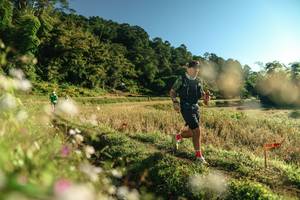 BIB: 
                            <button type="button" onclick="openModal(26635750)" class="btn btn-primary btn-sm float-right btn-popup" data-toggle="modal" data-target=".modal-high-quality">
                        <i class="fas fa-shopping-cart"></i> Add to Cart
                    </button>
                                            <button type="button" onclick="isThisMe(26635750, true)" class="btn btn-success btn-sm float-right btn-popup btn-isme hidden" data-toggle="tooltip" data-placement="bottom" title="นี่คือรูปของคุณใช่ไหม คลิกที่นี่เพื่อเอาเข้าอัลบั้ม">
                        <i class="fas fa-plus"></i> Add to album
                    </button>
                    <button type="button" onclick="isThisMe(26635750, false)" class="btn btn-warning btn-sm float-right btn-popup btn-isnotme hidden">
                        <i class="fas fa-ban"></i> Remove from album
                    </button>