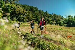 BIB: 
                            <button type="button" onclick="openModal(26709002)" class="btn btn-primary btn-sm float-right btn-popup" data-toggle="modal" data-target=".modal-high-quality">
                        <i class="fas fa-shopping-cart"></i> Add to Cart
                    </button>
                                            <button type="button" onclick="isThisMe(26709002, true)" class="btn btn-success btn-sm float-right btn-popup btn-isme hidden" data-toggle="tooltip" data-placement="bottom" title="นี่คือรูปของคุณใช่ไหม คลิกที่นี่เพื่อเอาเข้าอัลบั้ม">
                        <i class="fas fa-plus"></i> Add to album
                    </button>
                    <button type="button" onclick="isThisMe(26709002, false)" class="btn btn-warning btn-sm float-right btn-popup btn-isnotme hidden">
                        <i class="fas fa-ban"></i> Remove from album
                    </button>