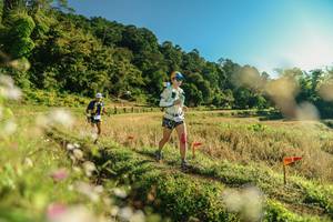 BIB: 
                            <button type="button" onclick="openModal(26636982)" class="btn btn-primary btn-sm float-right btn-popup" data-toggle="modal" data-target=".modal-high-quality">
                        <i class="fas fa-shopping-cart"></i> Add to Cart
                    </button>
                                            <button type="button" onclick="isThisMe(26636982, true)" class="btn btn-success btn-sm float-right btn-popup btn-isme hidden" data-toggle="tooltip" data-placement="bottom" title="นี่คือรูปของคุณใช่ไหม คลิกที่นี่เพื่อเอาเข้าอัลบั้ม">
                        <i class="fas fa-plus"></i> Add to album
                    </button>
                    <button type="button" onclick="isThisMe(26636982, false)" class="btn btn-warning btn-sm float-right btn-popup btn-isnotme hidden">
                        <i class="fas fa-ban"></i> Remove from album
                    </button>