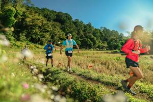 BIB: 
                            <button type="button" onclick="openModal(26638784)" class="btn btn-primary btn-sm float-right btn-popup" data-toggle="modal" data-target=".modal-high-quality">
                        <i class="fas fa-shopping-cart"></i> Add to Cart
                    </button>
                                            <button type="button" onclick="isThisMe(26638784, true)" class="btn btn-success btn-sm float-right btn-popup btn-isme hidden" data-toggle="tooltip" data-placement="bottom" title="นี่คือรูปของคุณใช่ไหม คลิกที่นี่เพื่อเอาเข้าอัลบั้ม">
                        <i class="fas fa-plus"></i> Add to album
                    </button>
                    <button type="button" onclick="isThisMe(26638784, false)" class="btn btn-warning btn-sm float-right btn-popup btn-isnotme hidden">
                        <i class="fas fa-ban"></i> Remove from album
                    </button>