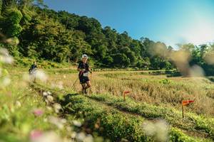 BIB: 
                            <button type="button" onclick="openModal(26637122)" class="btn btn-primary btn-sm float-right btn-popup" data-toggle="modal" data-target=".modal-high-quality">
                        <i class="fas fa-shopping-cart"></i> Add to Cart
                    </button>
                                            <button type="button" onclick="isThisMe(26637122, true)" class="btn btn-success btn-sm float-right btn-popup btn-isme hidden" data-toggle="tooltip" data-placement="bottom" title="นี่คือรูปของคุณใช่ไหม คลิกที่นี่เพื่อเอาเข้าอัลบั้ม">
                        <i class="fas fa-plus"></i> Add to album
                    </button>
                    <button type="button" onclick="isThisMe(26637122, false)" class="btn btn-warning btn-sm float-right btn-popup btn-isnotme hidden">
                        <i class="fas fa-ban"></i> Remove from album
                    </button>