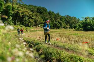 BIB: 
                            <button type="button" onclick="openModal(26723550)" class="btn btn-primary btn-sm float-right btn-popup" data-toggle="modal" data-target=".modal-high-quality">
                        <i class="fas fa-shopping-cart"></i> Add to Cart
                    </button>
                                            <button type="button" onclick="isThisMe(26723550, true)" class="btn btn-success btn-sm float-right btn-popup btn-isme hidden" data-toggle="tooltip" data-placement="bottom" title="นี่คือรูปของคุณใช่ไหม คลิกที่นี่เพื่อเอาเข้าอัลบั้ม">
                        <i class="fas fa-plus"></i> Add to album
                    </button>
                    <button type="button" onclick="isThisMe(26723550, false)" class="btn btn-warning btn-sm float-right btn-popup btn-isnotme hidden">
                        <i class="fas fa-ban"></i> Remove from album
                    </button>