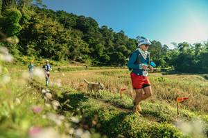 BIB: 
                            <button type="button" onclick="openModal(26637212)" class="btn btn-primary btn-sm float-right btn-popup" data-toggle="modal" data-target=".modal-high-quality">
                        <i class="fas fa-shopping-cart"></i> Add to Cart
                    </button>
                                            <button type="button" onclick="isThisMe(26637212, true)" class="btn btn-success btn-sm float-right btn-popup btn-isme hidden" data-toggle="tooltip" data-placement="bottom" title="นี่คือรูปของคุณใช่ไหม คลิกที่นี่เพื่อเอาเข้าอัลบั้ม">
                        <i class="fas fa-plus"></i> Add to album
                    </button>
                    <button type="button" onclick="isThisMe(26637212, false)" class="btn btn-warning btn-sm float-right btn-popup btn-isnotme hidden">
                        <i class="fas fa-ban"></i> Remove from album
                    </button>