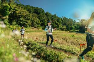 BIB: 
                            <button type="button" onclick="openModal(26690252)" class="btn btn-primary btn-sm float-right btn-popup" data-toggle="modal" data-target=".modal-high-quality">
                        <i class="fas fa-shopping-cart"></i> Add to Cart
                    </button>
                                            <button type="button" onclick="isThisMe(26690252, true)" class="btn btn-success btn-sm float-right btn-popup btn-isme hidden" data-toggle="tooltip" data-placement="bottom" title="นี่คือรูปของคุณใช่ไหม คลิกที่นี่เพื่อเอาเข้าอัลบั้ม">
                        <i class="fas fa-plus"></i> Add to album
                    </button>
                    <button type="button" onclick="isThisMe(26690252, false)" class="btn btn-warning btn-sm float-right btn-popup btn-isnotme hidden">
                        <i class="fas fa-ban"></i> Remove from album
                    </button>