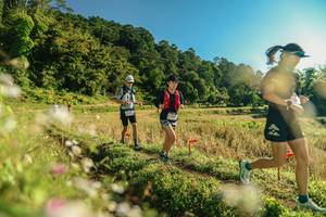 BIB: 
                            <button type="button" onclick="openModal(26636747)" class="btn btn-primary btn-sm float-right btn-popup" data-toggle="modal" data-target=".modal-high-quality">
                        <i class="fas fa-shopping-cart"></i> Add to Cart
                    </button>
                                            <button type="button" onclick="isThisMe(26636747, true)" class="btn btn-success btn-sm float-right btn-popup btn-isme hidden" data-toggle="tooltip" data-placement="bottom" title="นี่คือรูปของคุณใช่ไหม คลิกที่นี่เพื่อเอาเข้าอัลบั้ม">
                        <i class="fas fa-plus"></i> Add to album
                    </button>
                    <button type="button" onclick="isThisMe(26636747, false)" class="btn btn-warning btn-sm float-right btn-popup btn-isnotme hidden">
                        <i class="fas fa-ban"></i> Remove from album
                    </button>