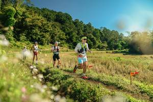 BIB: 
                            <button type="button" onclick="openModal(26684027)" class="btn btn-primary btn-sm float-right btn-popup" data-toggle="modal" data-target=".modal-high-quality">
                        <i class="fas fa-shopping-cart"></i> Add to Cart
                    </button>
                                            <button type="button" onclick="isThisMe(26684027, true)" class="btn btn-success btn-sm float-right btn-popup btn-isme hidden" data-toggle="tooltip" data-placement="bottom" title="นี่คือรูปของคุณใช่ไหม คลิกที่นี่เพื่อเอาเข้าอัลบั้ม">
                        <i class="fas fa-plus"></i> Add to album
                    </button>
                    <button type="button" onclick="isThisMe(26684027, false)" class="btn btn-warning btn-sm float-right btn-popup btn-isnotme hidden">
                        <i class="fas fa-ban"></i> Remove from album
                    </button>