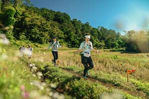 BIB: 
                            <button type="button" onclick="openModal(26690236)" class="btn btn-primary btn-sm float-right btn-popup" data-toggle="modal" data-target=".modal-high-quality">
                        <i class="fas fa-shopping-cart"></i> Add to Cart
                    </button>
                                            <button type="button" onclick="isThisMe(26690236, true)" class="btn btn-success btn-sm float-right btn-popup btn-isme hidden" data-toggle="tooltip" data-placement="bottom" title="นี่คือรูปของคุณใช่ไหม คลิกที่นี่เพื่อเอาเข้าอัลบั้ม">
                        <i class="fas fa-plus"></i> Add to album
                    </button>
                    <button type="button" onclick="isThisMe(26690236, false)" class="btn btn-warning btn-sm float-right btn-popup btn-isnotme hidden">
                        <i class="fas fa-ban"></i> Remove from album
                    </button>