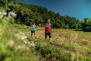 BIB: 
                            <button type="button" onclick="openModal(26737001)" class="btn btn-primary btn-sm float-right btn-popup" data-toggle="modal" data-target=".modal-high-quality">
                        <i class="fas fa-shopping-cart"></i> Add to Cart
                    </button>
                                            <button type="button" onclick="isThisMe(26737001, true)" class="btn btn-success btn-sm float-right btn-popup btn-isme hidden" data-toggle="tooltip" data-placement="bottom" title="นี่คือรูปของคุณใช่ไหม คลิกที่นี่เพื่อเอาเข้าอัลบั้ม">
                        <i class="fas fa-plus"></i> Add to album
                    </button>
                    <button type="button" onclick="isThisMe(26737001, false)" class="btn btn-warning btn-sm float-right btn-popup btn-isnotme hidden">
                        <i class="fas fa-ban"></i> Remove from album
                    </button>